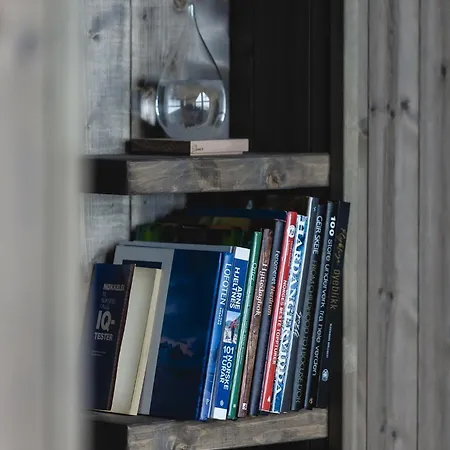 Chill - Fantastic View And Hiking Area * Aurdal