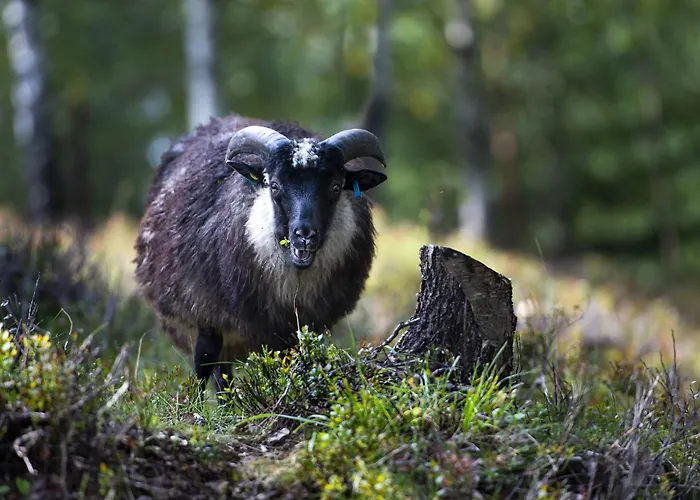 Chill - Fantastic View And Hiking Area Шале *